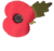 remembrance poppy